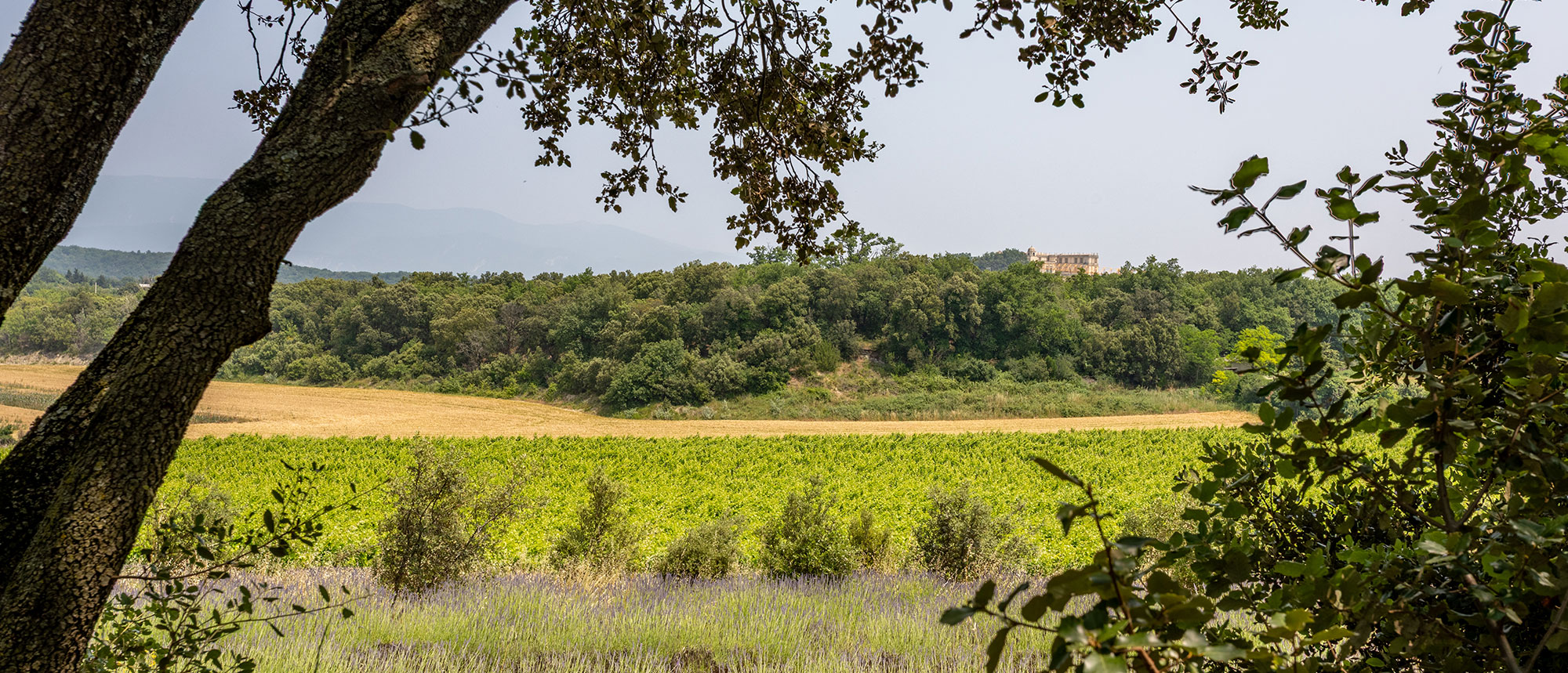Stays<br />
 in Drôme<br />
 Provençale